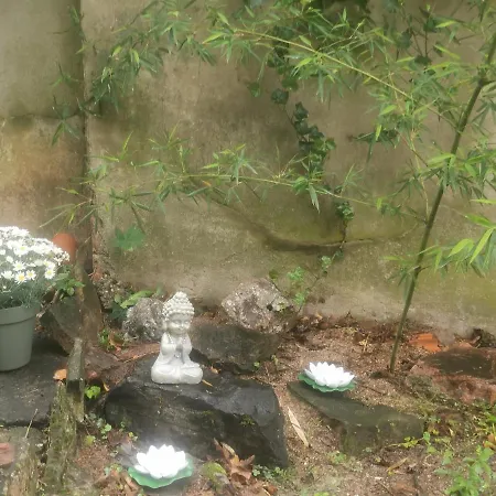 Joli Cocon En Plein Centre Apartment Vichy